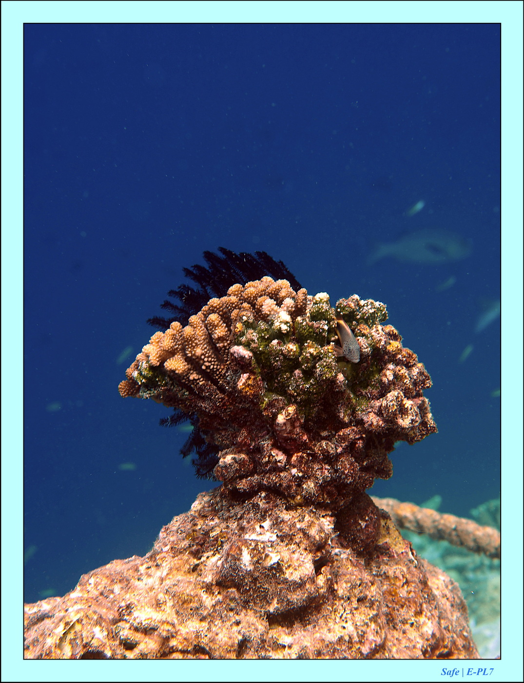 2023 - 07 - Sandies Bathala - 183